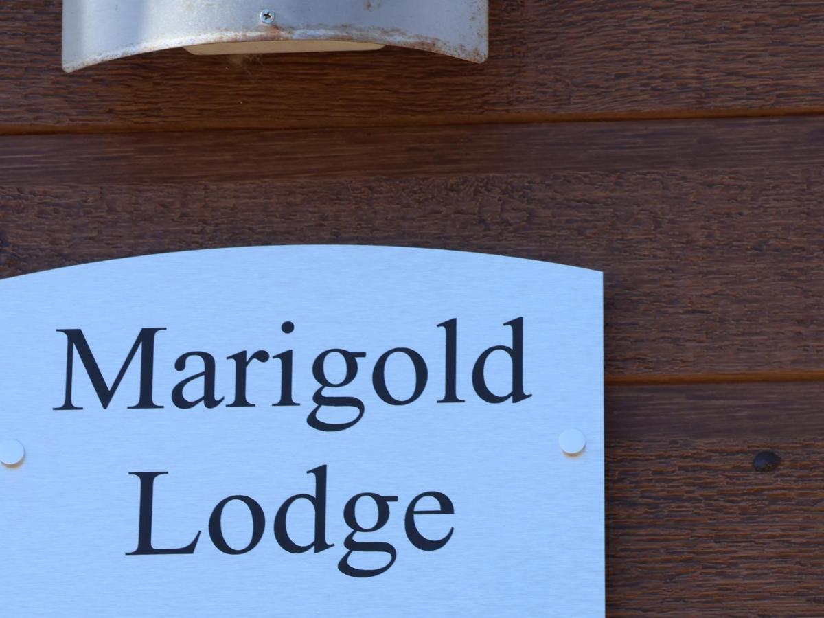 Marigold Lodge Saltburn-by-the-Sea Exteriér fotografie